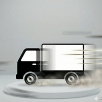 Free Express Shipping